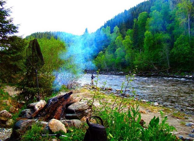 Atlantic Salmon en los ros de Noruega
