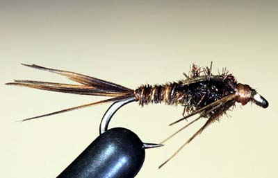 Pheasant Tail  o ninfa "Cola de faisn".