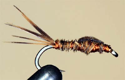 Pheasant Tail  o ninfa "Cola de faisn".