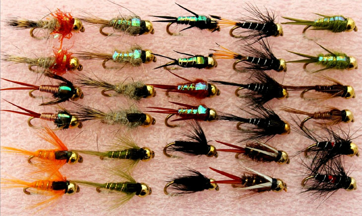 Ninfas, 10 consejos prácticos a tener en cuenta