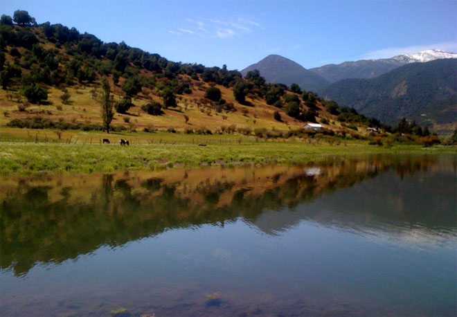 Pesca de pejerreyes en Cachapoal