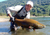 Los Chinooks del Petrohué