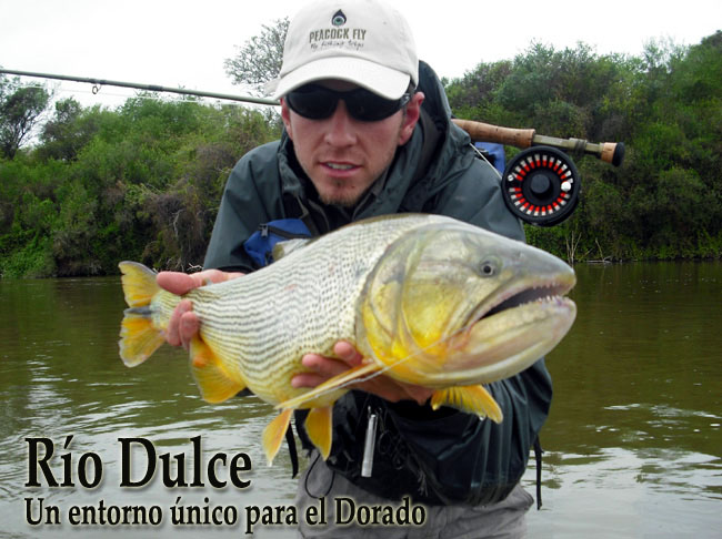 Río Dulce, un entorno único para el Dorado