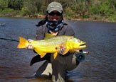 Dorados del río Juramento