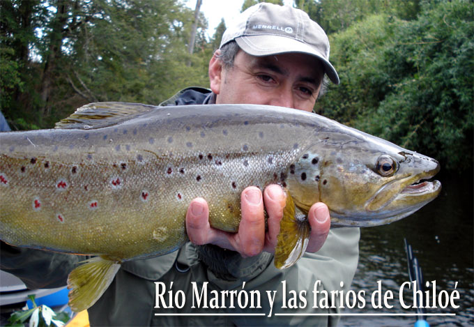 Río Marrón y las farios de Chiloé