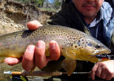 Pescando un río de Pampa.