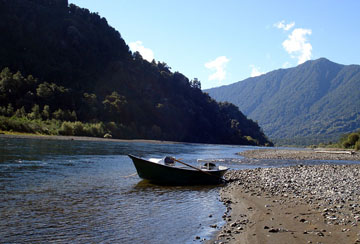 Río Petrohue, refugio de truchas y salmones migratorios