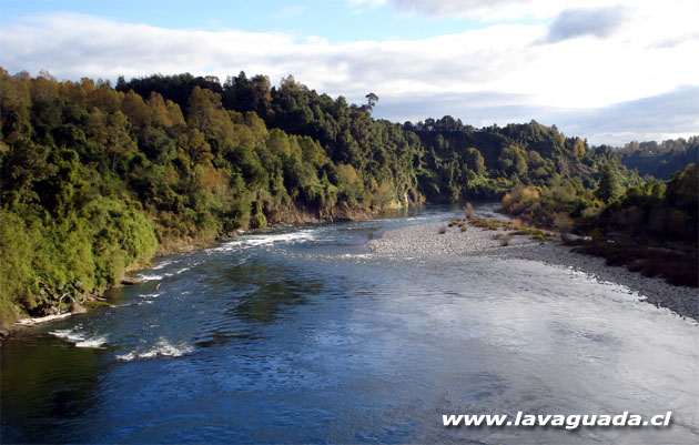 Río San Pedro sector Malihue
