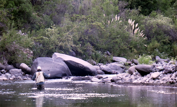 Diagrama de pesca en la zona Central de Chile