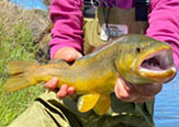 Ríos Patagónicos, de Pesca en los Parajes mas Icónicos de Aysén