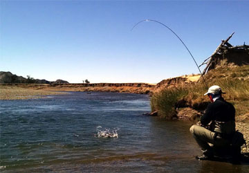 12 Tips de Importancia para la Pesca con Mosca Seca - Rios Patagonicos