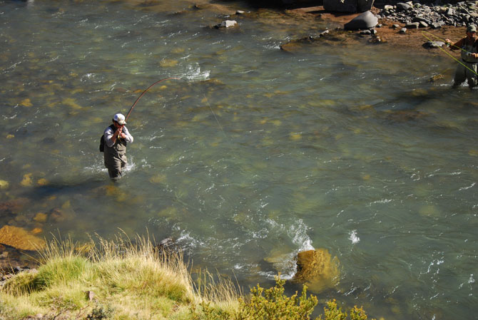 Entendiendo el equipo de la pesca con mosca: La Caa (Parte 1)