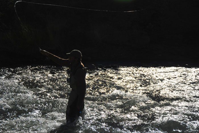 Entendiendo el equipo de la pesca con mosca: La Caa (Parte 1)