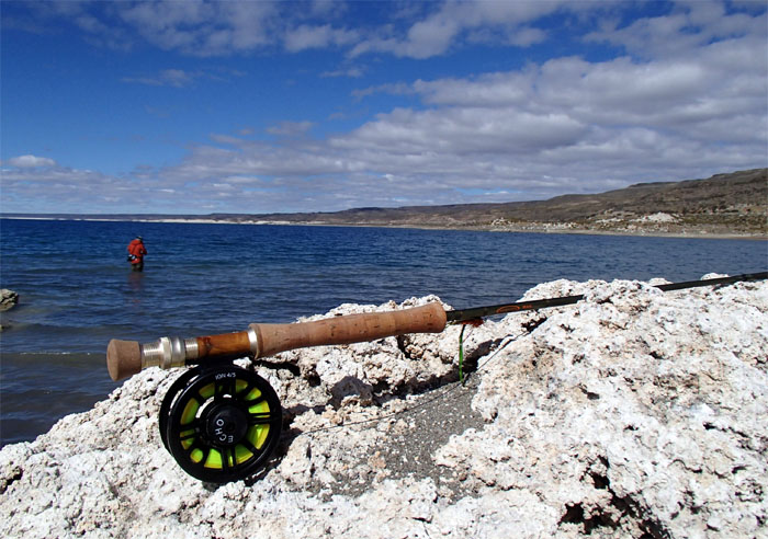 Entendiendo el equipo de la pesca con mosca: La Caa (Parte 1)