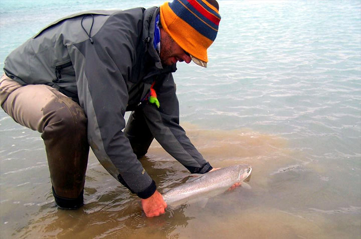 Steelhead, Rio Santa Cruz - Patagonia Argentina