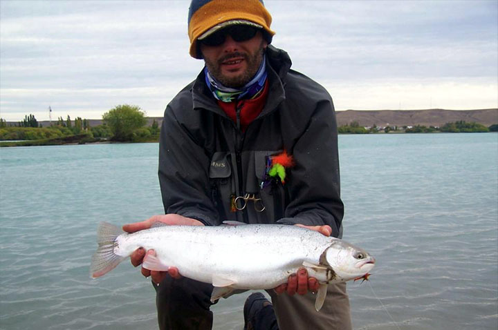 Steelhead, Rio Santa Cruz - Patagonia Argentina
