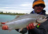 Steelhead, Rio Santa Cruz - Patagonia Argentina