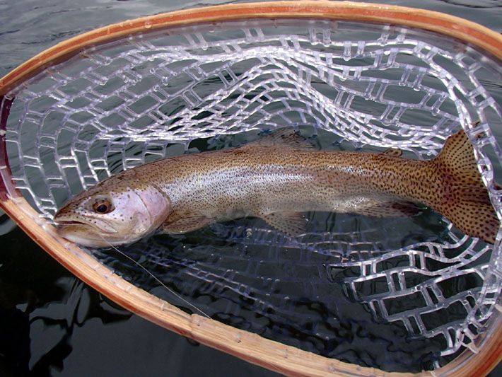 Sendas Conguillio, Pescando en Conguillio Lodge