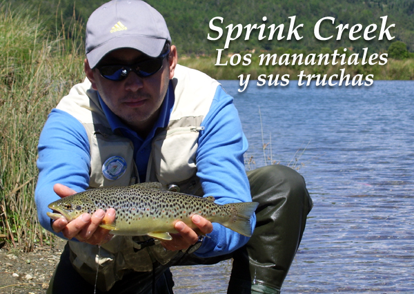 La pesca en un Spring Creek de la Patagonia - Fly Fishing in Spring ...