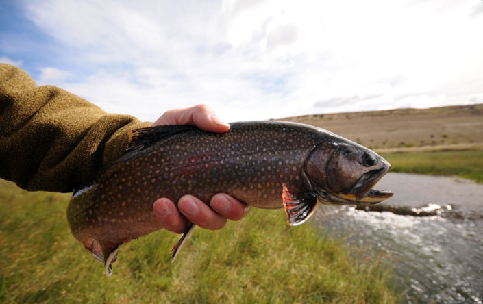 La Ruta de los Spring Creek, Estancia rio Pelke, Santa Cruz - Argentina