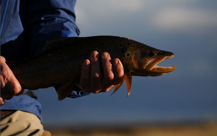 La Ruta de los Spring Creek, Estancia rio Pelke, Santa Cruz - Argentina