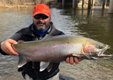 Steelhead Milwaukee River
