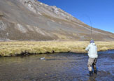 Técnicas Europeas de Competición de Pesca Con Ninfas