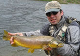 Pesca con Terrestrial Flies en la Primavera temprana