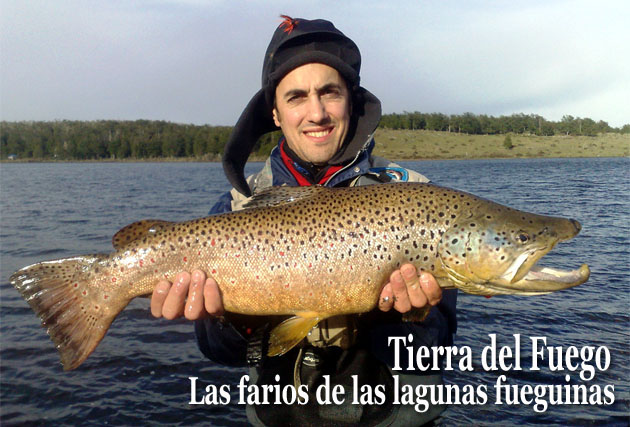 Tierra del Fuego, las farios de las lagunas fueguinas.