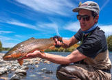 Río Toltén, Truchas y Salmones en la Frontera de la Araucanía