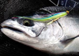 Tube Flies Para Truchas y Salmones.
