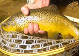 Recorriendo los "fishing holes" de Utah en USA.