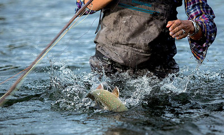 Testeo, Nueva lnea de waders Patagonia sorprenden 