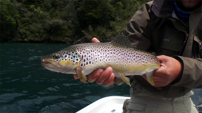 Una Aventura en la Patagonia Verde - Yelcho en la Patagonia Lodge