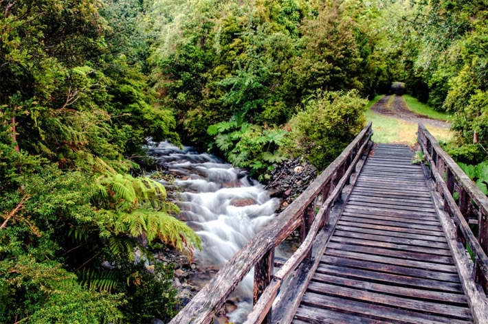 Una Aventura en la Patagonia Verde - Yelcho en la Patagonia Lodge