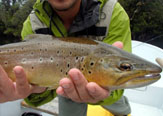 Lodge Yelcho en la Patagonia, El Olimpo de la Pesca con Mosca.