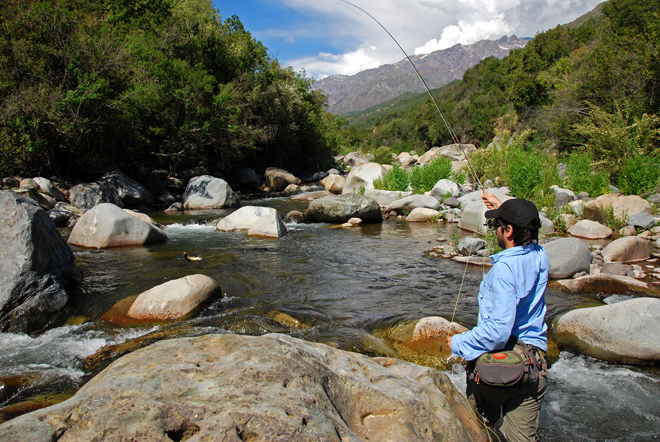 Yo soy pescador de la zona centra