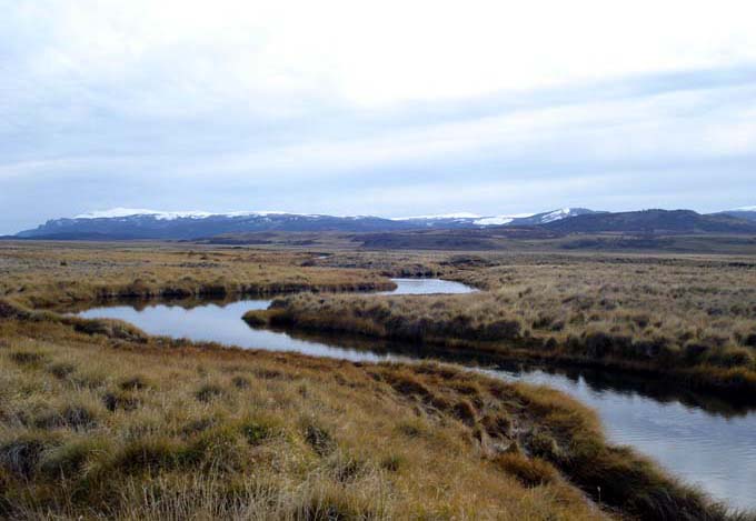 Spring Creek - En los dominios del Zorro - Estancia del Zorro
