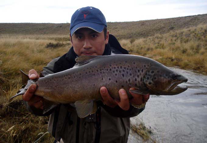 Spring Creek - En los dominios del Zorro - Estancia del Zorro