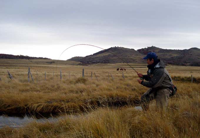 Spring Creek - En los dominios del Zorro - Estancia del Zorro