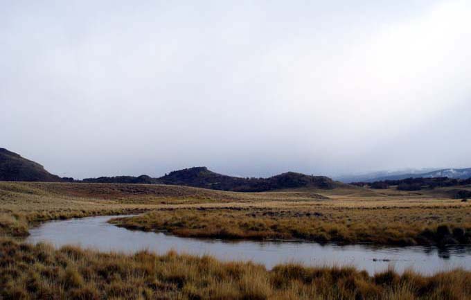 Spring Creek - En los dominios del Zorro - Estancia del Zorro