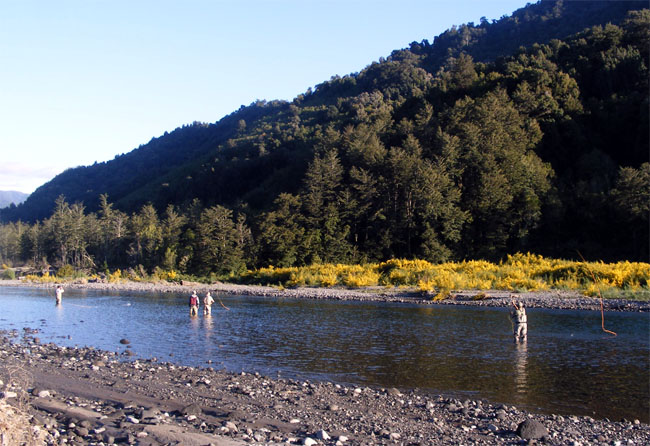 Steve Choate en Puerto Varas -  El Spey trado a Chile por un campen mundial