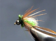 Montaje: The Colorado Caddis