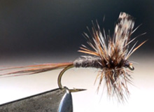 Adams Dry Fly