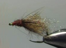 The Classified Caddis Pupa
