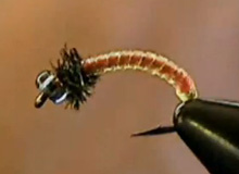 The Blood Worm