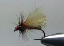 Montaje: The 2-fly Dry