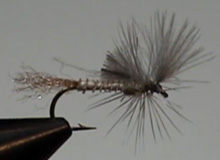 Montaje: Callibaetis Emerger