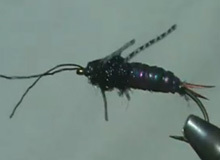 Montaje: Parks´ Fly Shop