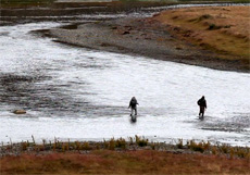 Ttulo:  Remota Experience